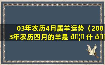 03年农历4月属羊运势（2003年农历四月的羊是 🦁 什 🐬 么命）